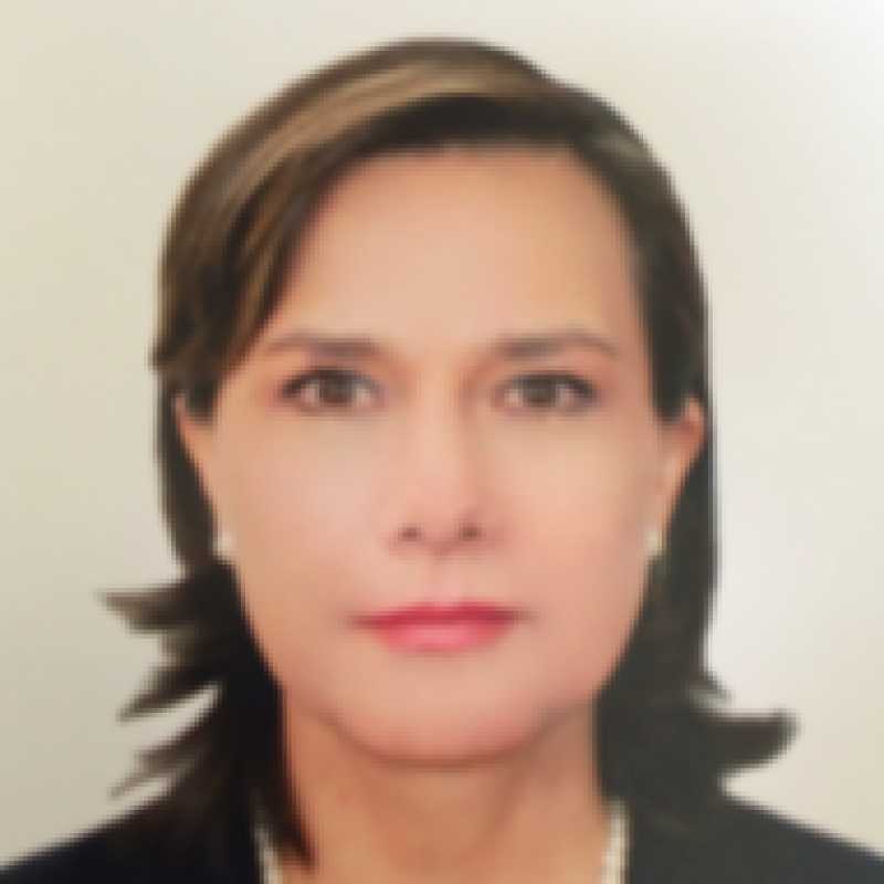 María del Carmen Yáñez López, Prestadora de Servicios Profesionales