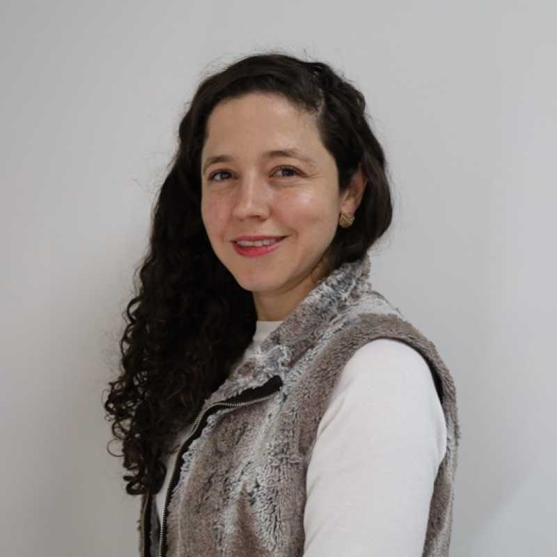 María Guadalupe Martínez Fisher, Docente UNIR