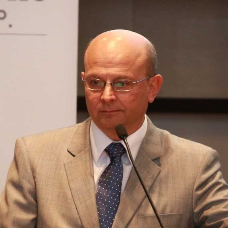 Mario Alberto Villagómez Holguín, Experto Asociado