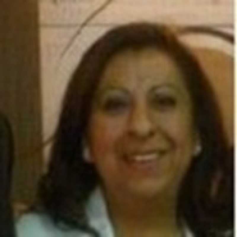 Martha Eugenia Limón Hernández, Experta Asociada