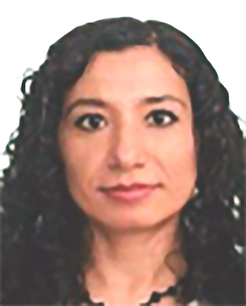 Martha Janette Castañeda Emmert, Docente UNIR