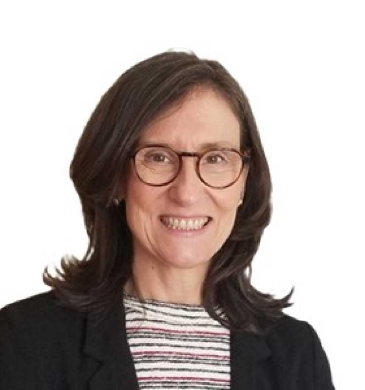 Mertxe Idoate Huarte, Experta asociada