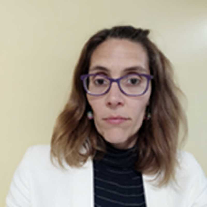 Montserrat Amorós Gómez, Docente Unir