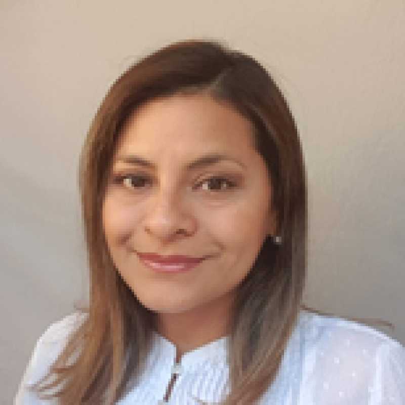 Nairobi Albarran Castro, Docente Unir