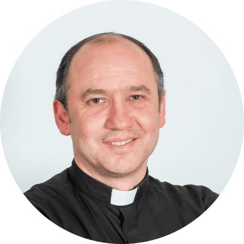 Napoleón Ferrández Zaragoza, Docente UNIR