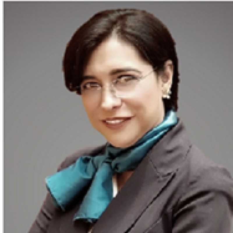 Nelly Carolina Treviño Treviño, Coordinadora académica