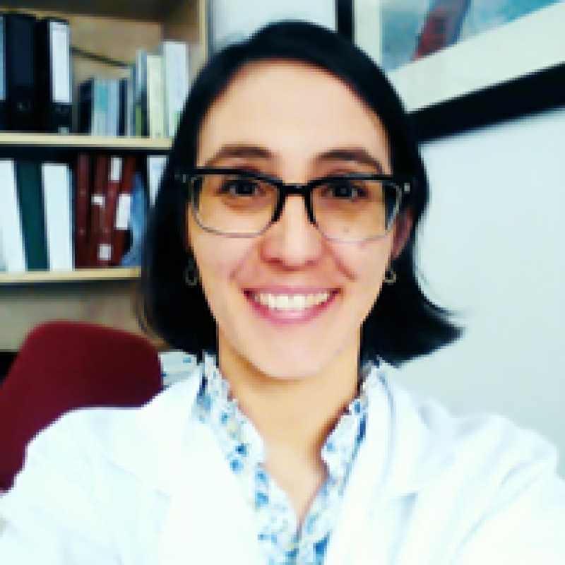 Nieves López Fresneña, Docente Unir