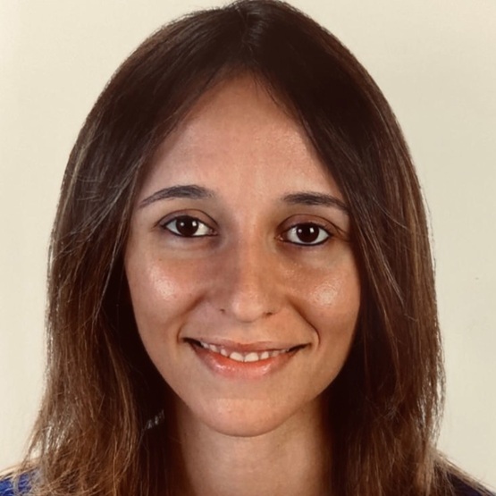 Nuria Pérez Díaz del Campo, Experto Asociado