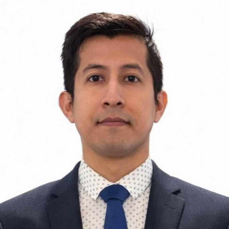 Octavio Adán Nájera Hernández, Experto Asociado