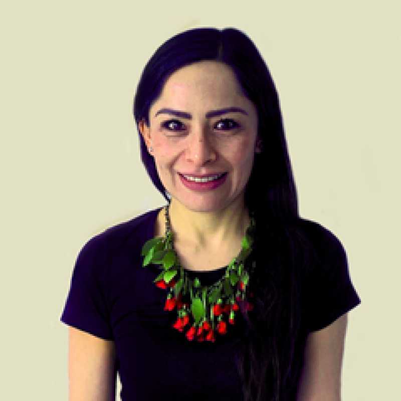 Paola Álvarez Baldit, Docente UNIR