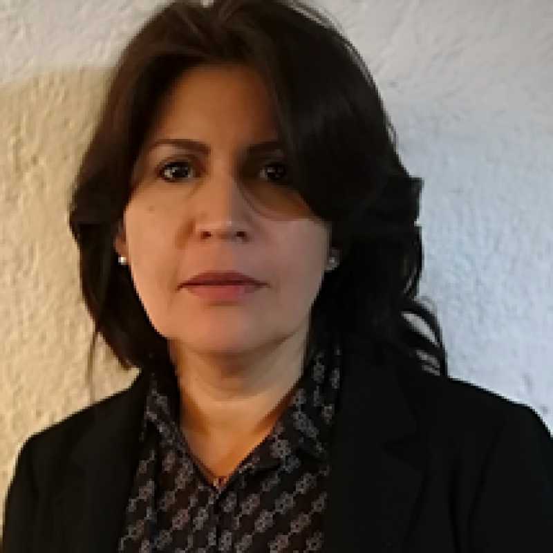 Patricia Rayón Villela, Docente UNIR
