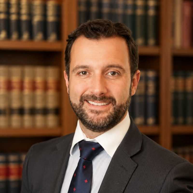 Rafael Delgado Alemany, Experto asociado