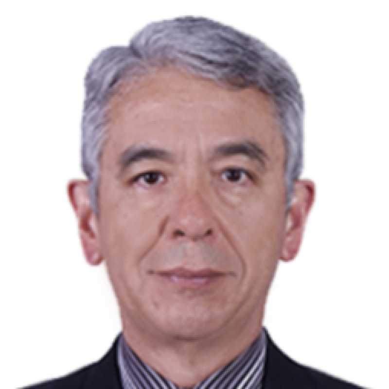 Rafael Funes Díaz, Experto asociado