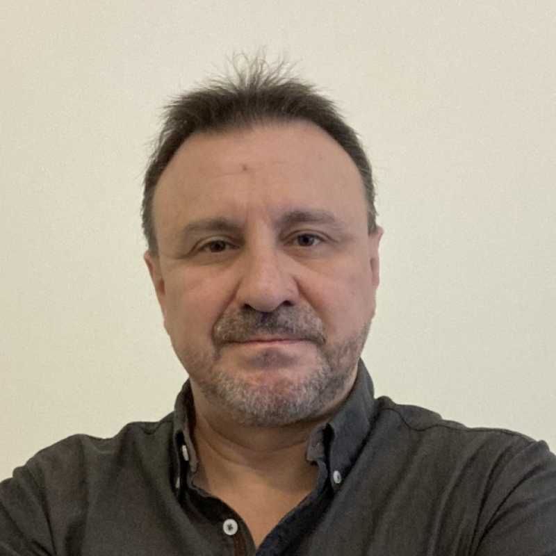 Raúl Valente Ramírez Velarde, Docente UNIR