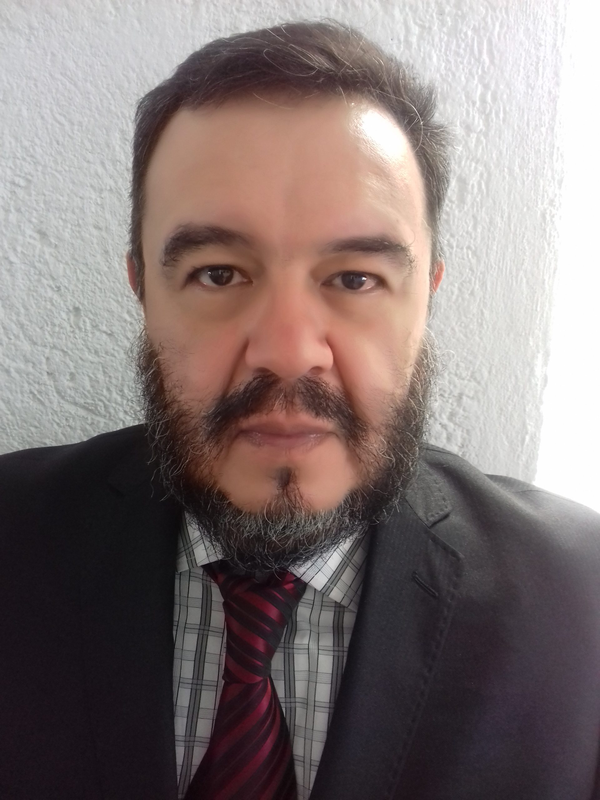 Ricardo Diaz Chimal, Docente UNIR