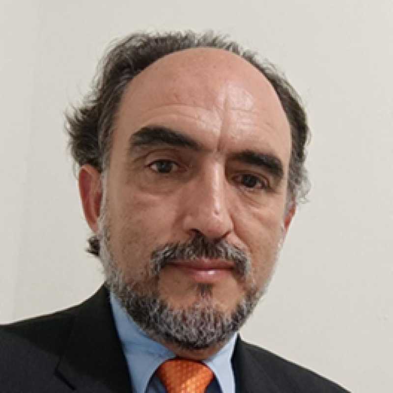 Rodolfo Rafael Medina Ramirez, Docente UNIR