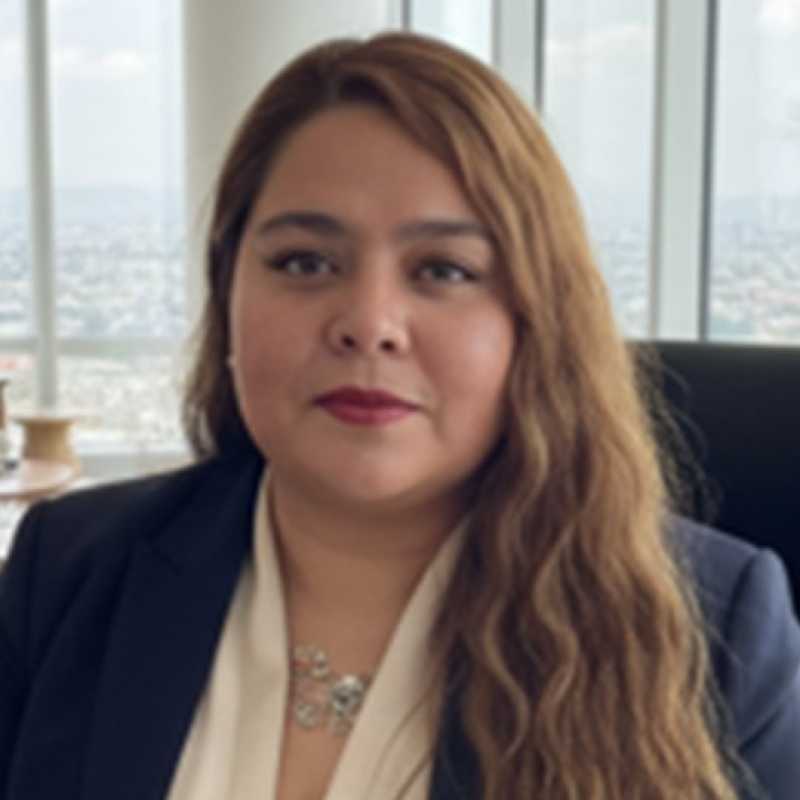 Rosa Angélica Gudiño Morales, Docente UNIR