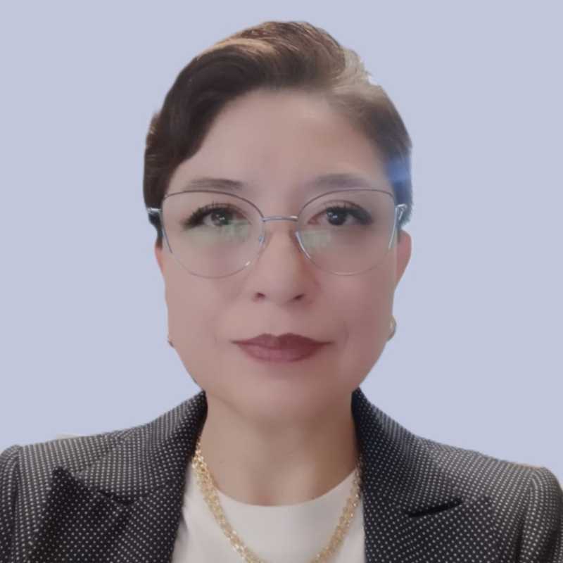 Silvia Margarita Pérez Alemán, Experta asociada
