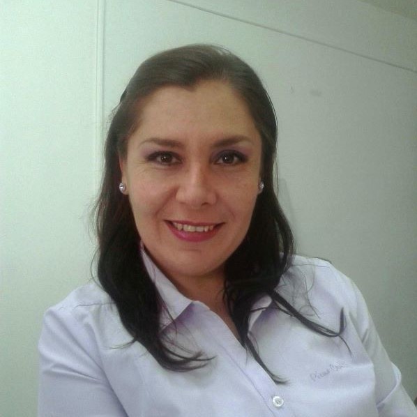 Teresita de Jesús Ramírez García, Docente UNIR