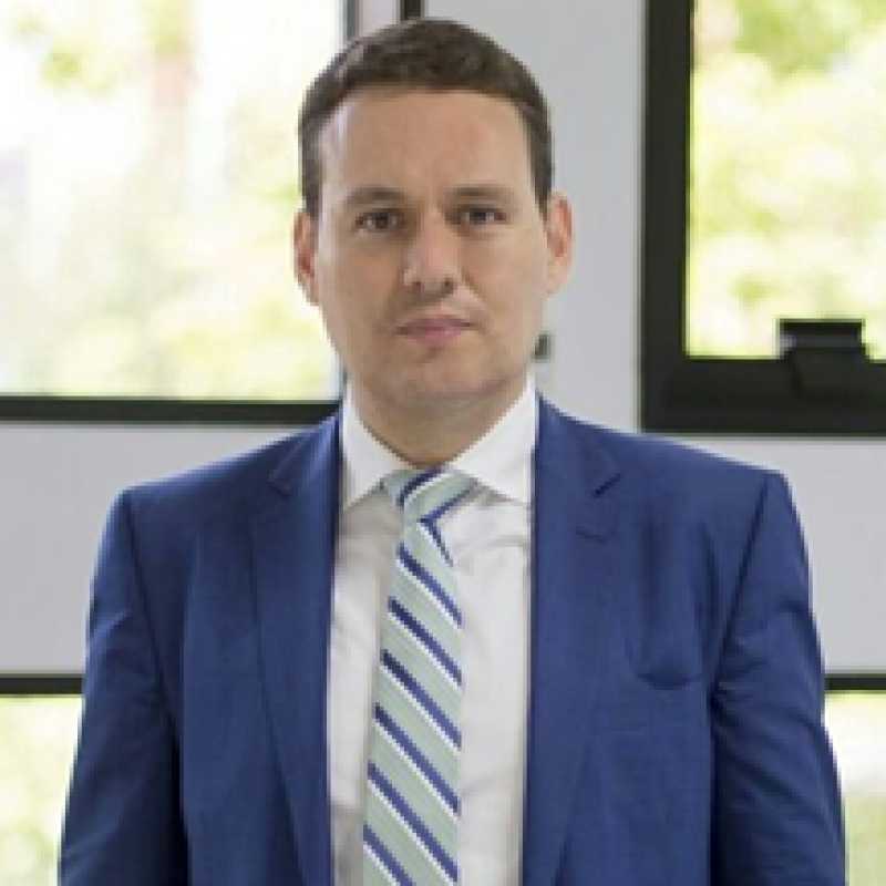 Tomás J. Aliste Santos, Docente UNIR