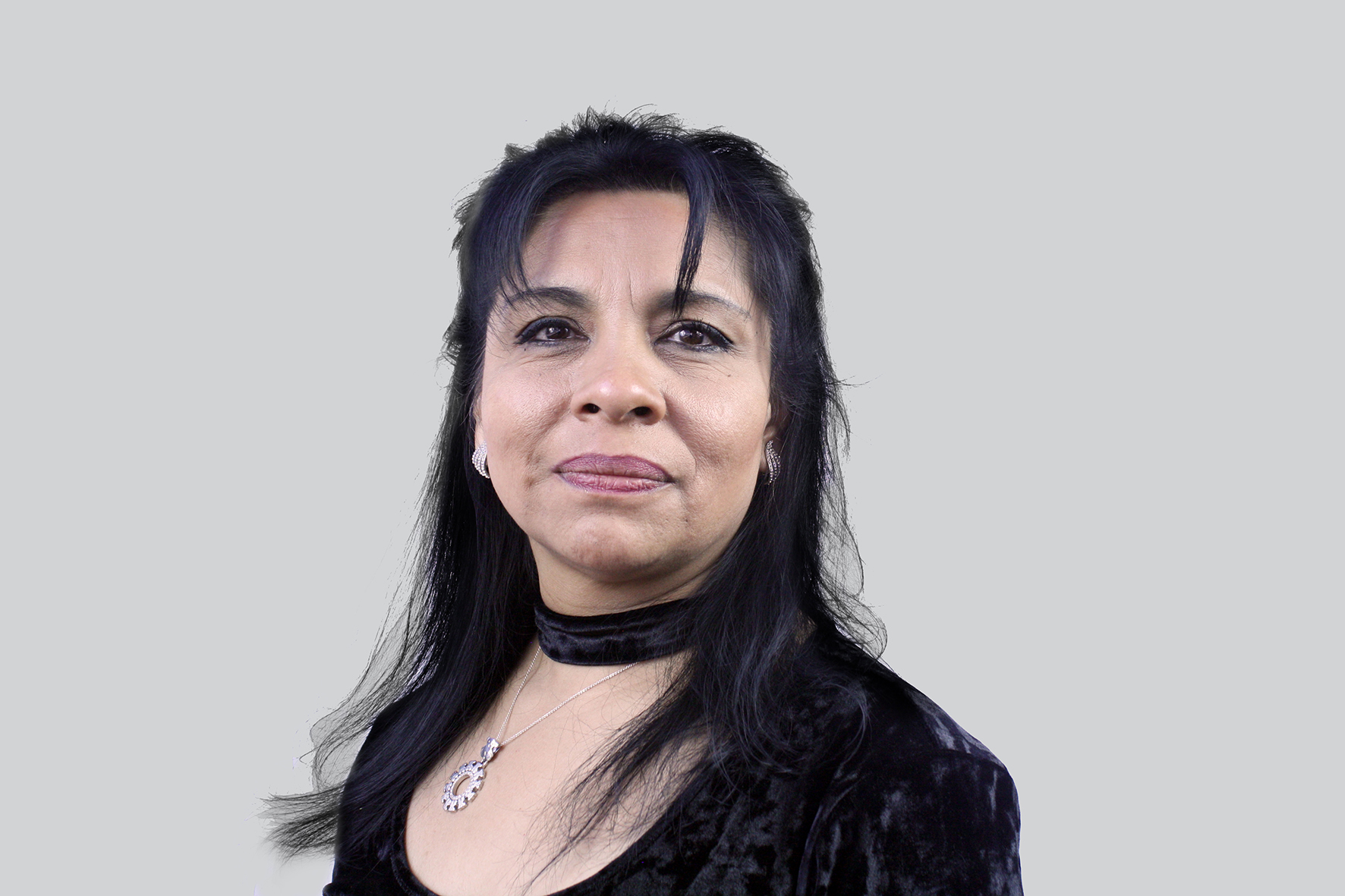 Veronica Hernández Casanova
