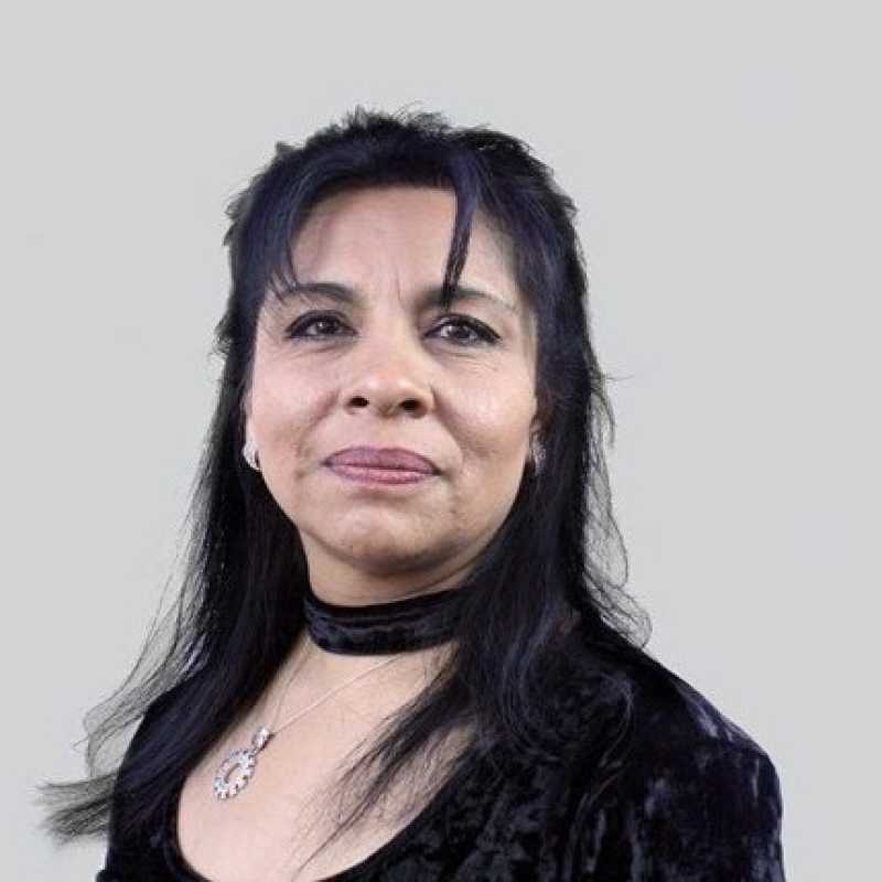 Veronica Hernández Casanova, Docente Unir