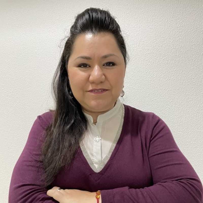 Verónica Rosalía Isunza Pérez, Docente UNIR