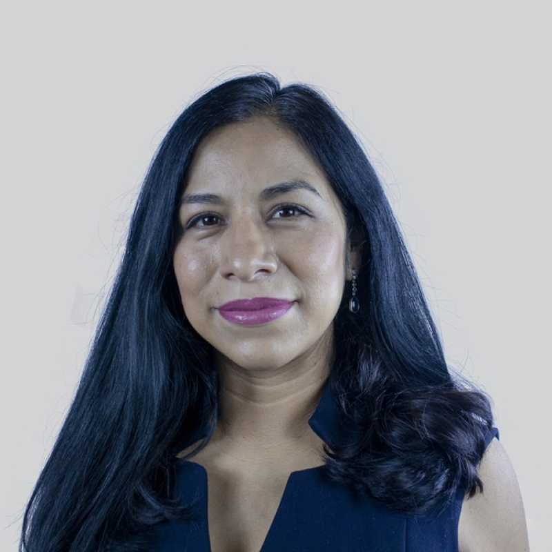 Xóchitl María González Gómez, Docente UNIR